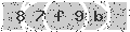 verify code