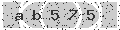 verify code