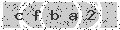 verify code